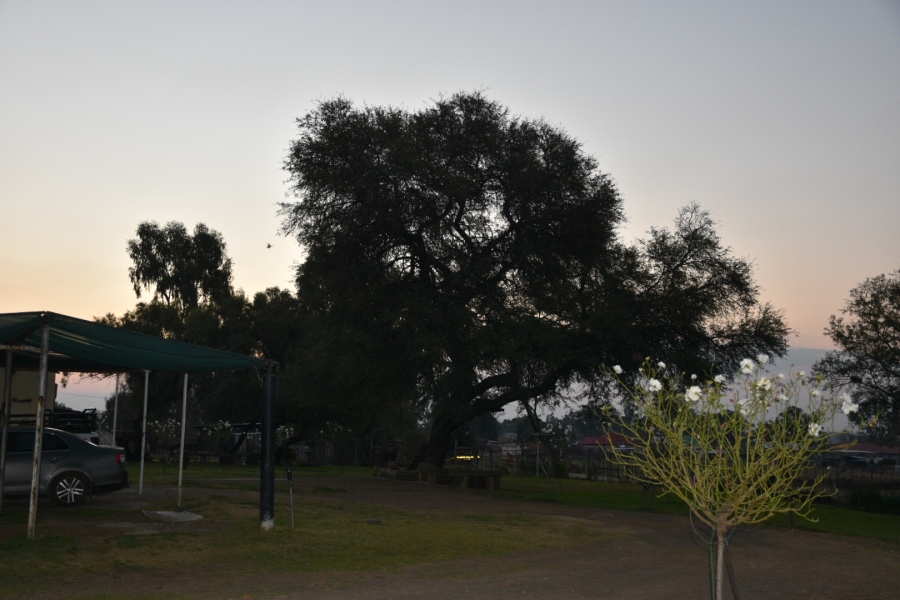 4 Bedroom Property for Sale in Rouxville Free State